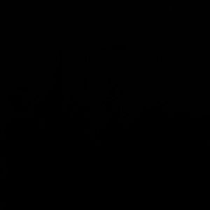 Meet your Posher, Tani